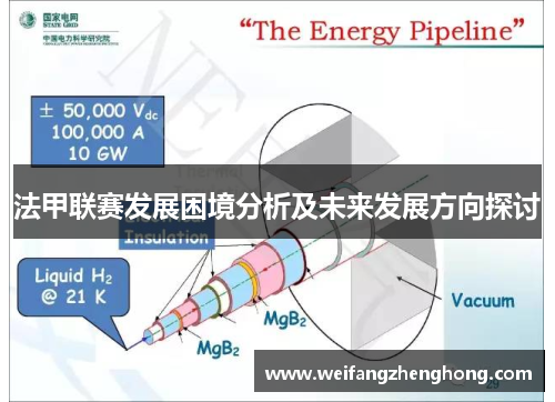 法甲联赛发展困境分析及未来发展方向探讨